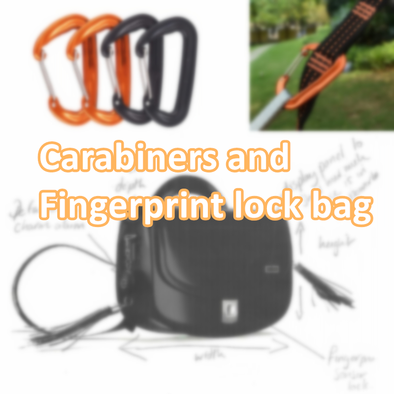 Carabiners and Fingerprint lock bag